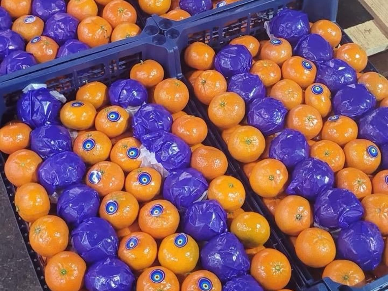 Citrusi — mandarine